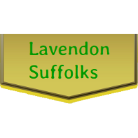 Lavendon Logo