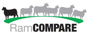 Ram Compare Logo